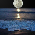 Moon Wallpaper