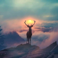 Nature Wallpaper