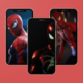 Spider Hero Wallpaper