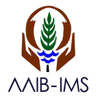 AAIB - IMS icône