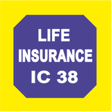 Life Insurance IC38 아이콘