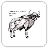 ”ZSI Zoological Survey of India