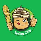 Spring Chip icon