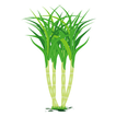 آیکون‌ UK Cane App