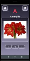 AtoZflowersname Plakat