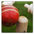 Chauka Cricket Scoring App icon