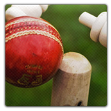 Chauka Cricket Scoring App APK