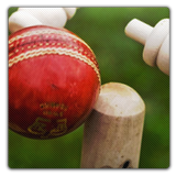 Chauka Cricket Scoring App icon