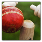 Chauka Cricket Scoring App ikona