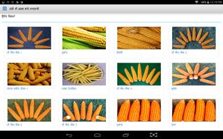 برنامه‌نما Maize DSS عکس از صفحه