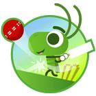 Doodle Cricket ikon