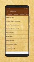 Idioms & Phrases poster