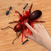 चींटी कड़ी चोट खेल