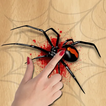 jeu de smasher d'araignée