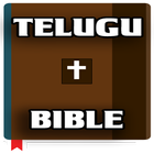 Telugu Bible-icoon