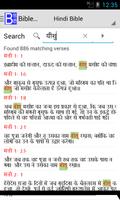 Hindi Bible Plus 截圖 3