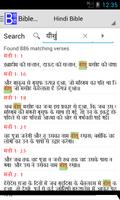 Hindi Bible Plus capture d'écran 3