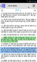 Hindi Bible Plus capture d'écran 2
