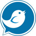 BirdieVPN