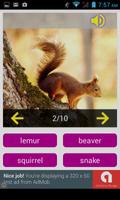 Animal sounds (Play & Quiz) capture d'écran 2