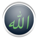 AllahNames99 APK