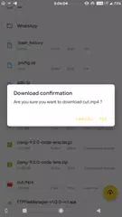 FTP File Manager XAPK download