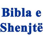 Albanian Bible ícone