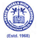 Peace Angels High School APK