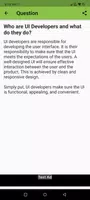 UI Developer Interview imagem de tela 2