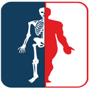 Digital X-Ray APK