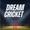 Dream Cricket 2025 APK