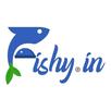 Fishy Online APK