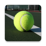 Learn Tennis icon