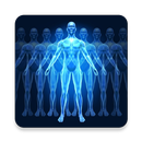 APK Human Body Facts