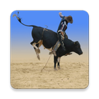 Learn Bull Riding icône