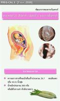 PREG-CAL สุขภาพสตรีตั้งครรภ์ syot layar 3