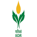 IIOR-Safflower Seed Production
