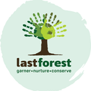 Last Forest APK