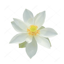 Vedantasara - वेदान्तसारः APK