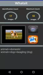 Whatsit- Image Recognition and Identification APK download