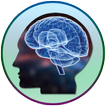 Brain Training Exercise