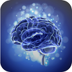 Brain Training: Touch in Order