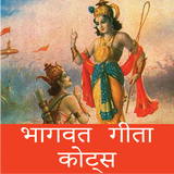 Bhagavad Gita Quotes - Hindi icon