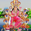 Ma Manasa মা মনসা পুজা পদ্ধতি آئیکن