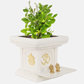 তুলসী মন্ত্র Tulsi Mantra Puja
