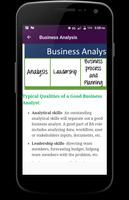 Business Analysis скриншот 2