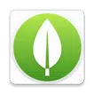 MongoDB Database