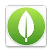 MongoDB Database APK