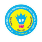 NPSBSSS icône