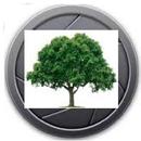 Tree Census APK